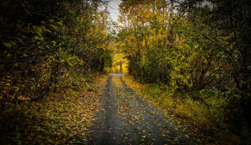 Картинка природа дороги простор