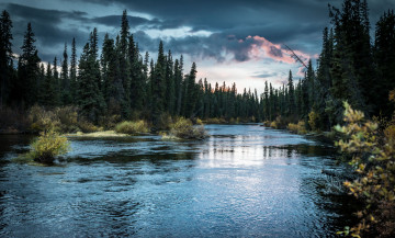 Картинка природа реки озера простор