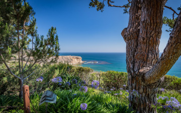 Картинка природа побережье простор