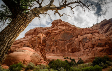 Картинка природа горы простор