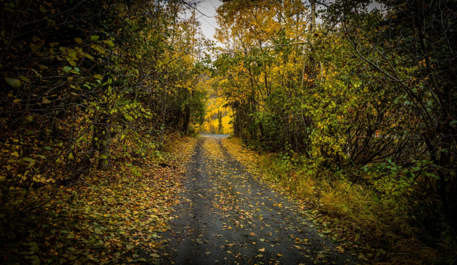 Обои картинки фото природа, дороги, простор