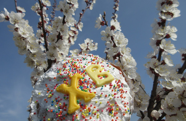 Обои картинки фото праздничные, пасха, весна, 2018