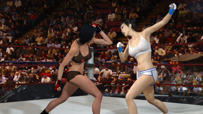 Обои картинки фото 3д графика, спорт , sport, девушки, взгляд, фон, ринг, борьба