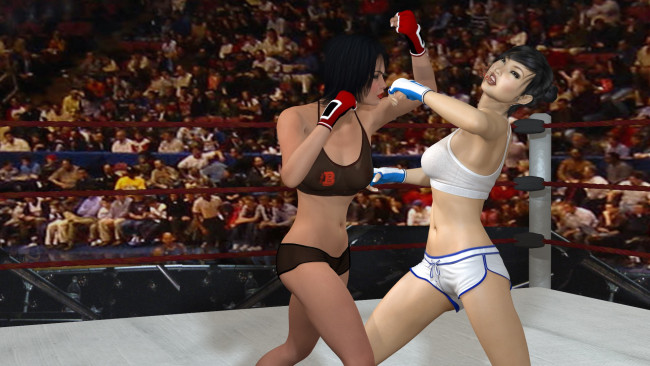 Обои картинки фото 3д графика, спорт , sport, девушки, взгляд, фон, ринг, борьба