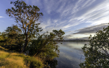 Картинка природа реки озера река