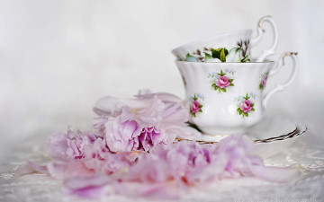 обоя разное, посуда,  столовые приборы,  кухонная утварь, чашки