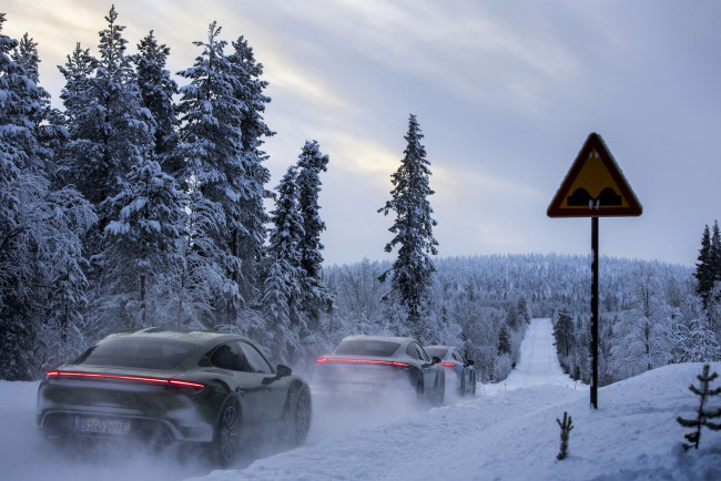 Обои картинки фото автомобили, porsche