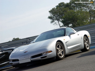 Картинка chevrolet corvette автомобили выставки уличные фото