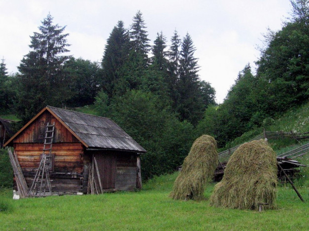Обои картинки фото 