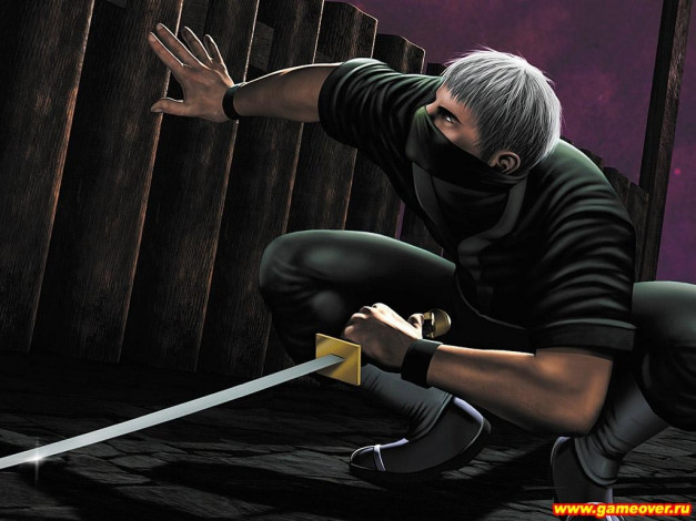 Обои картинки фото tenchu, видео, игры