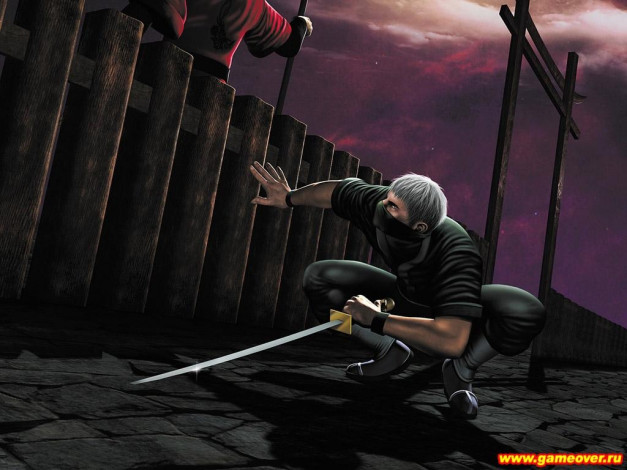 Обои картинки фото tenchu, видео, игры