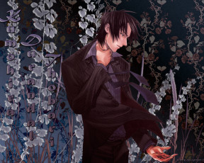 обоя аниме, nabari, no, ou