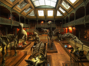 Картинка разное рельефы статуи музейные экспонаты