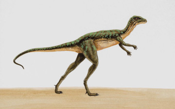 Картинка рисованные животные доисторические