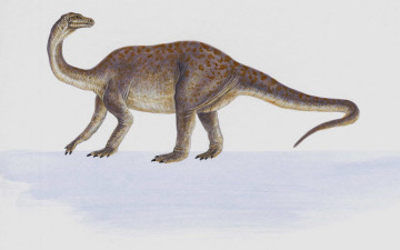 Картинка рисованные животные доисторические