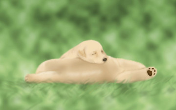 Картинка векторная графика