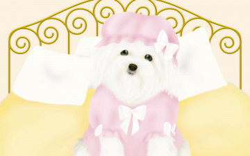 Картинка векторная графика