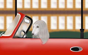 обоя векторная, графика