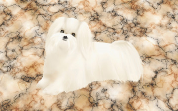 Картинка векторная графика