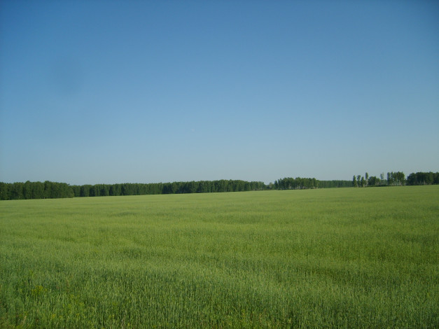 Обои картинки фото природа, поля