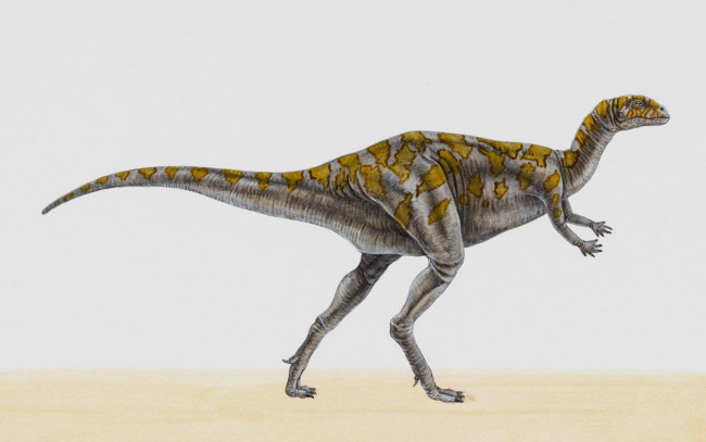 Обои картинки фото рисованные, животные, доисторические