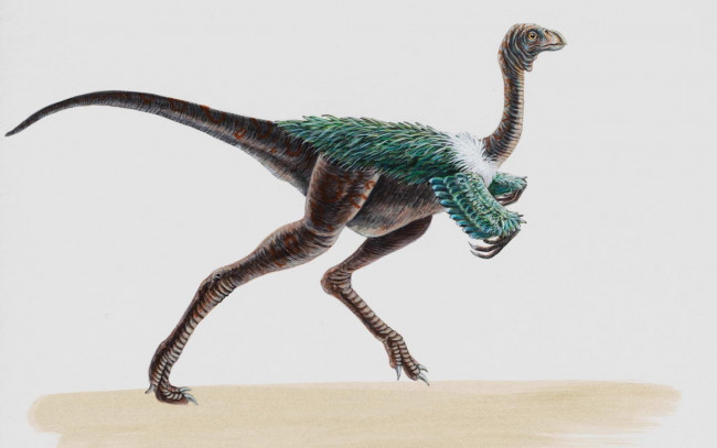 Обои картинки фото рисованные, животные, доисторические