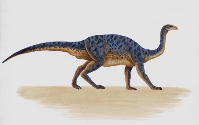 Обои картинки фото рисованные, животные, доисторические