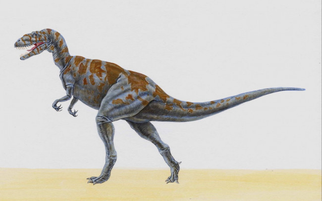 Обои картинки фото рисованные, животные, доисторические