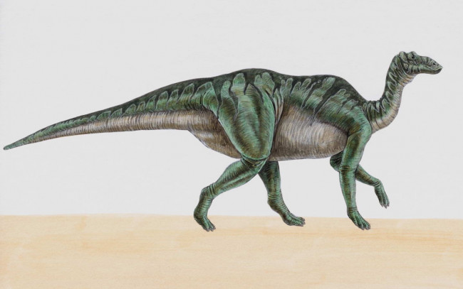 Обои картинки фото рисованные, животные, доисторические