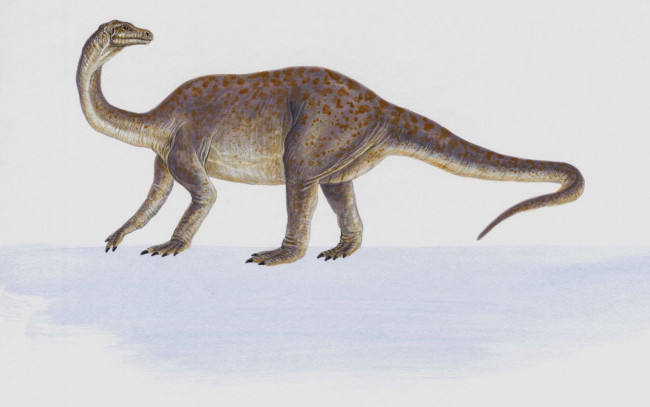 Обои картинки фото рисованные, животные, доисторические