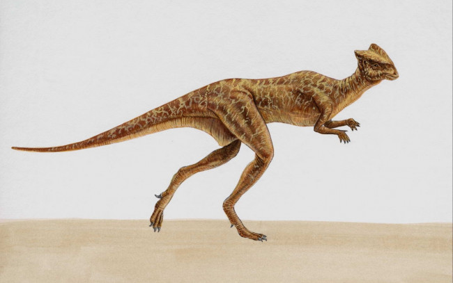 Обои картинки фото рисованные, животные, доисторические