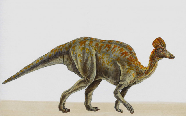 Обои картинки фото рисованные, животные, доисторические