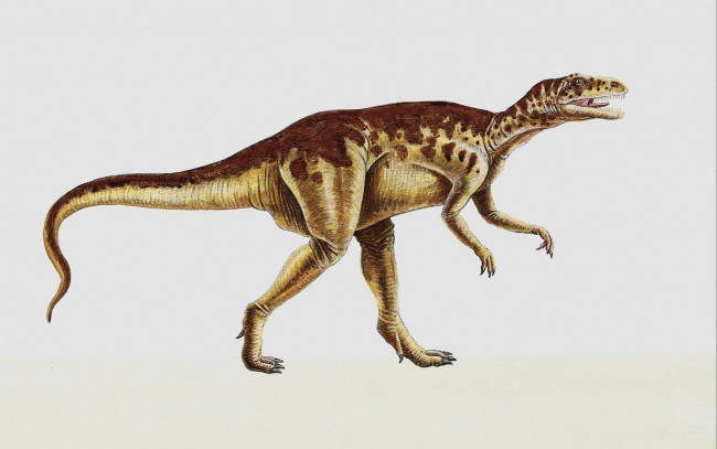 Обои картинки фото рисованные, животные, доисторические