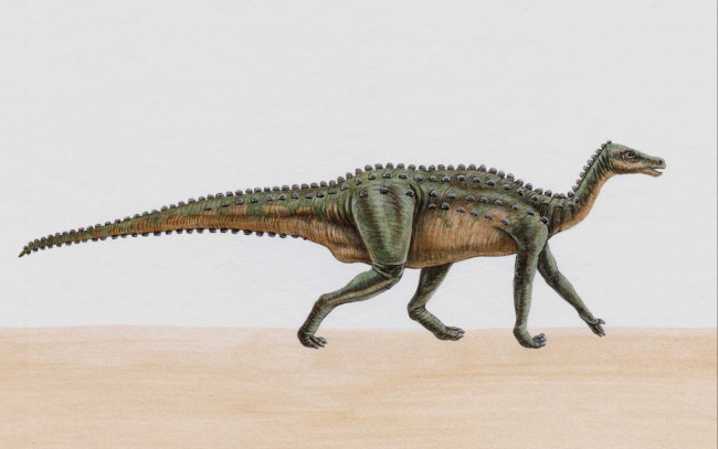 Обои картинки фото рисованные, животные, доисторические