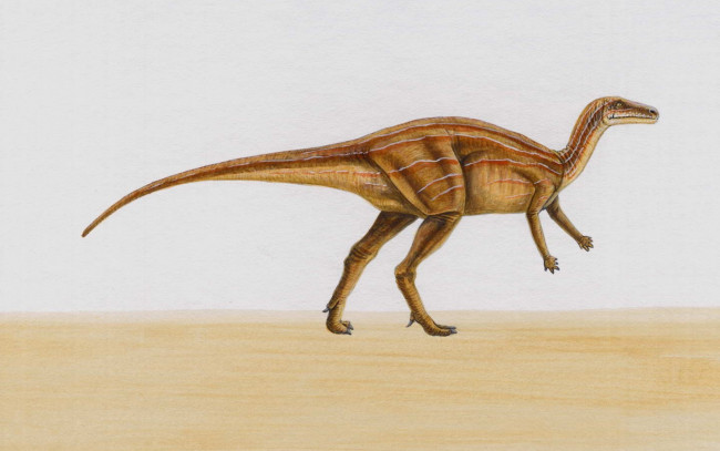 Обои картинки фото рисованные, животные, доисторические