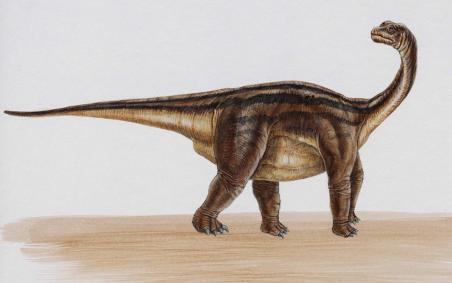 Обои картинки фото рисованные, животные, доисторические