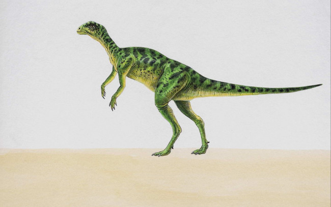 Обои картинки фото рисованные, животные, доисторические