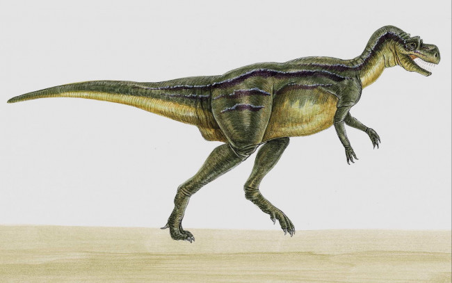 Обои картинки фото рисованные, животные, доисторические