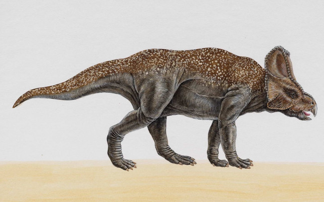 Обои картинки фото рисованные, животные, доисторические