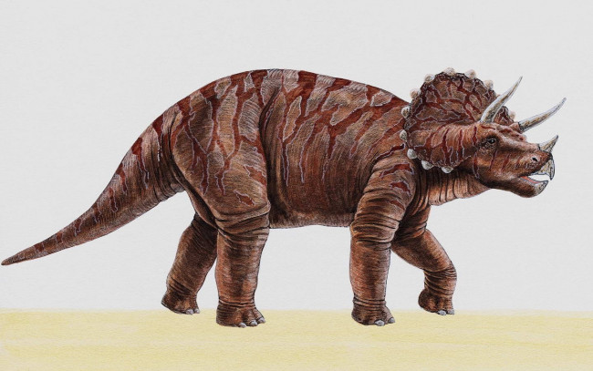 Обои картинки фото рисованные, животные, доисторические