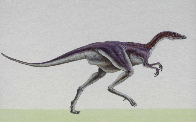 Обои картинки фото рисованные, животные, доисторические