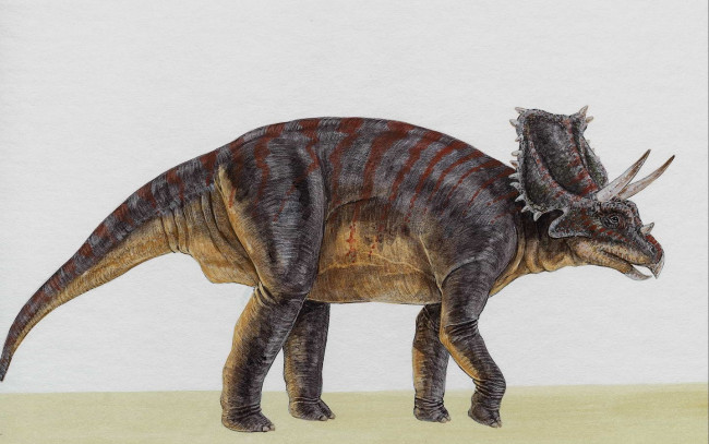 Обои картинки фото рисованные, животные, доисторические