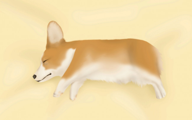 Обои картинки фото векторная, графика