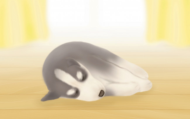 Обои картинки фото векторная, графика