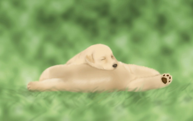 Обои картинки фото векторная, графика