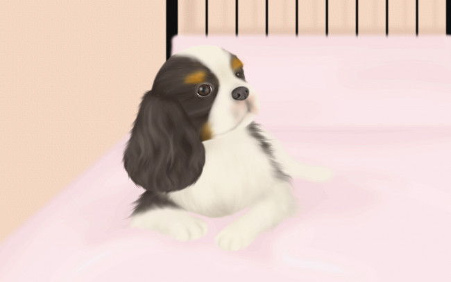 Обои картинки фото векторная, графика