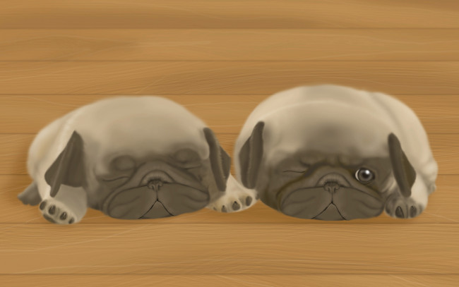 Обои картинки фото векторная, графика