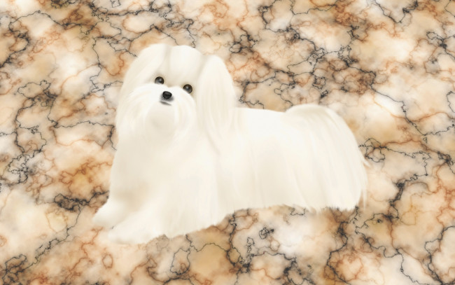 Обои картинки фото векторная, графика