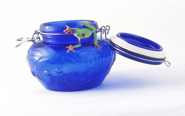 Обои картинки фото животные, лягушки