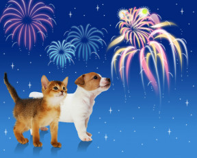 Картинка животные разные вместе